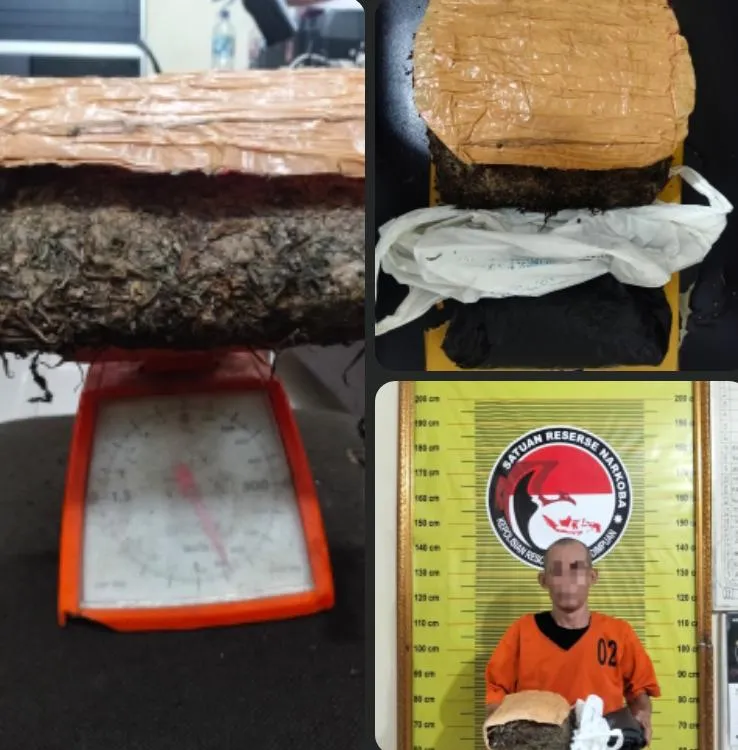 Gagal, Peredaran 900 Gram Ganja di Jalinsum Padangsidimpuan