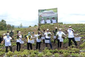 Luhut Sambut Positif Hasil Komoditas Food Estate Humbahas. Hasil Panen Di Atas Rata-Rata Nasional