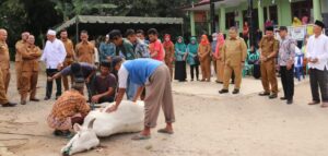 1.807 Hewan Kurban di Tapanuli Selatan 