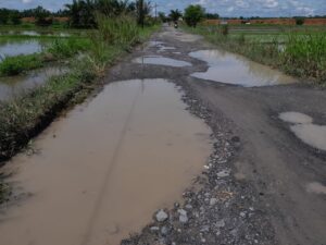 PT PP Jalan Tol Tidak Perduli. Jalan Tanah Merah-Tanjung Muda Batu Bara Rusak Parah