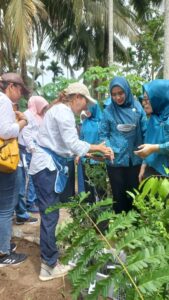 PT Socfindo Conservation Bersama Ketua PKK Tapsel Tanam Perdana Bibit TOGA