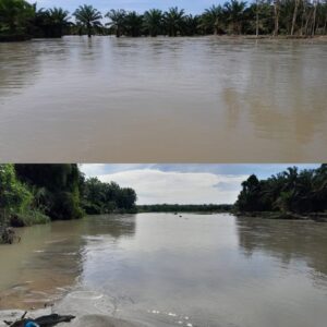 Batu Bara Masih Terendam Banjir,105 Meter Tanggul Pecah,4 Desa Terancam Gagal Tanam