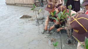 Bersama Gerakan Pramuka SD IT Darul Abror, KTH Lestari Persisir Tanam 100 Bibit Bakau