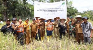 PTAR Bersama Distan Tapsel Sukses Kembangkan Benih Lokal Siporang