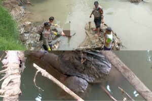 Mayat Terapung Di Sungai Padang Dievakuasi Petugas 