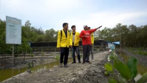 Revitalisasi Pantai Sejarah Batu Bara Menyatukan Alam dan Modernitas.