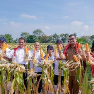 Mentan dan Bobby Panen 8 Ton Jagung.