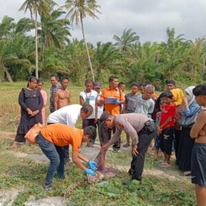 Jasad Bayi Perempuan Ditemukan di Irigasi Simodong Batu Bara.