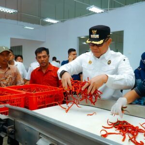 Pj. Bupati dan Kapolres Batu Bara Tinjau Persiapan Rumah Produksi Pasta Cabai.