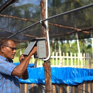 INALUM Dorong Penggunaan Energi Mandiri Pembangkit Listrik Tenaga Surya Untuk Perikanan Darat.