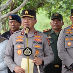 Polda Sumut Temukan 5 Hektar Ladang Ganja di Madina.