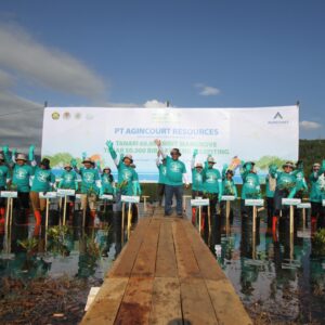 Jaga Keseimbangan Alam Pandan, Agincourt Resources Kembali Tanam 60.000 Mangrove dan Tebar 50.000 Bibit Kerang & Kepiting.