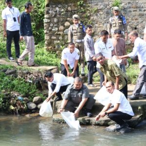 Bupati Dolly Tabur Ribuan Benih Ikan Jurung, Tawes dan Baung di Angkola Selatan.