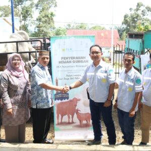 Jelang Idul Adha 1445 H, PT NSHE Distribusikan 6 Ekor Sapi Kurban.