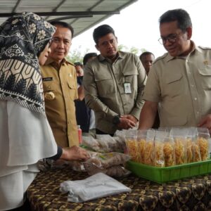 Mendag dan Bobby Pantau Gerakan Pangan Murah di Medan